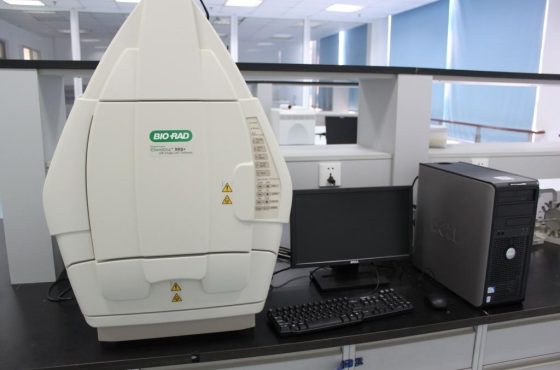 Кейс перевода медицинских документов для Bio-Rad